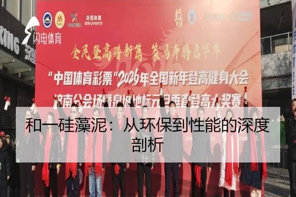 和一硅藻泥：从环保到性能的深度剖析
