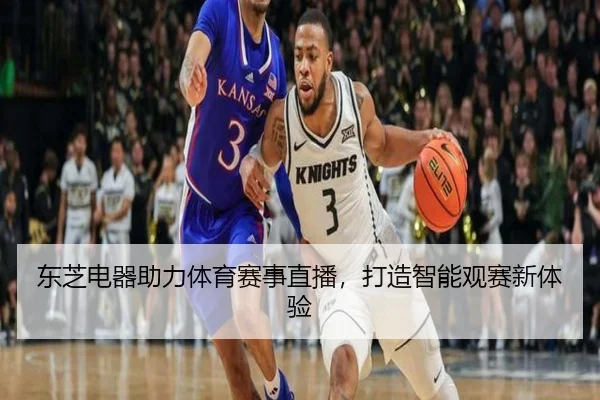 东芝电器助力体育赛事直播，打造智能观赛新体验