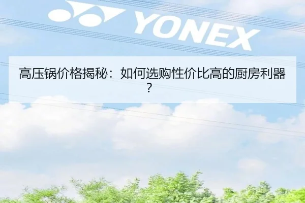 高压锅价格揭秘：如何选购性价比高的厨房利器？